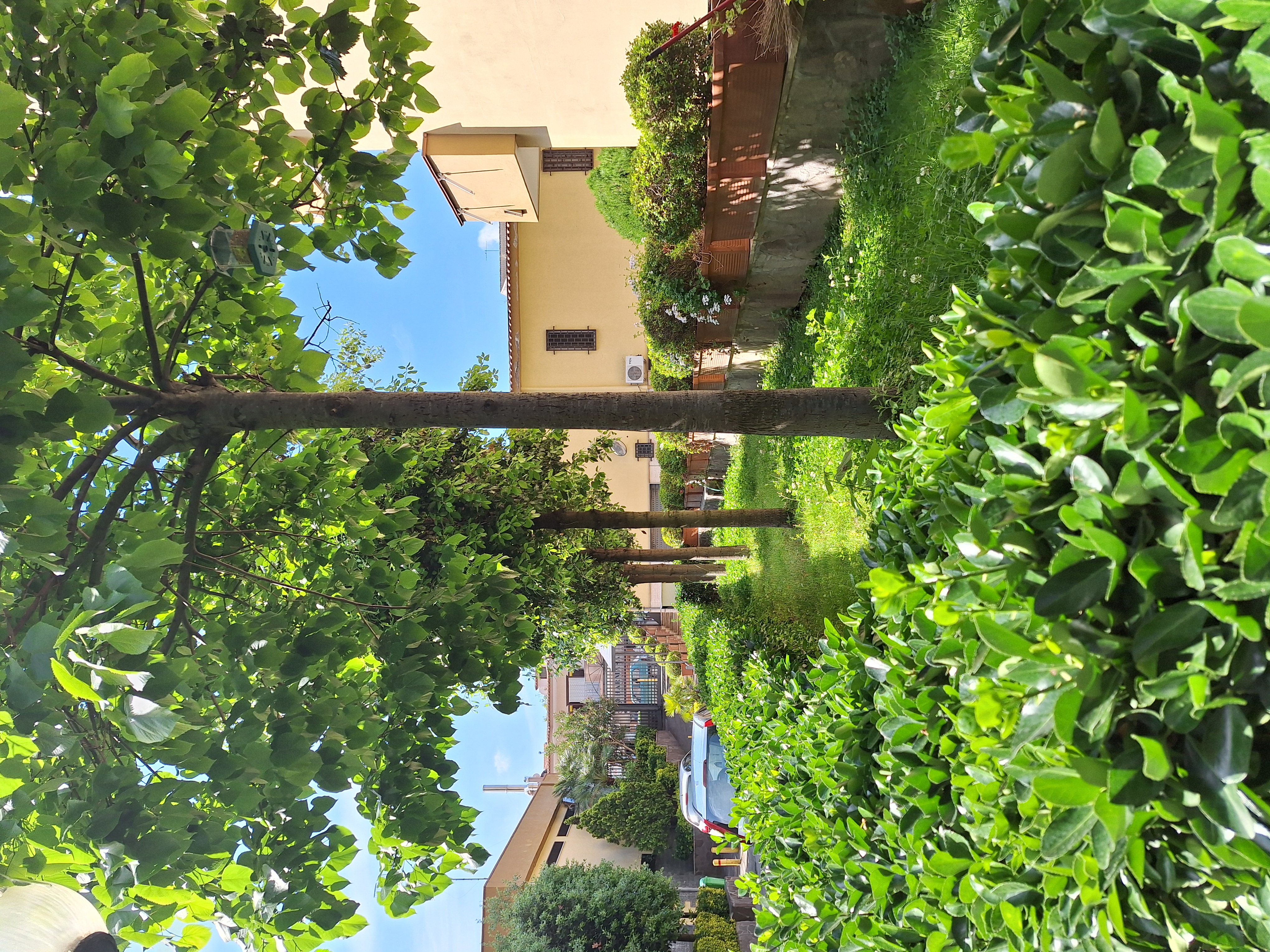Giardini